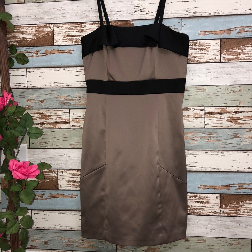 BCBG Paris champagne cocktail dress! *New*